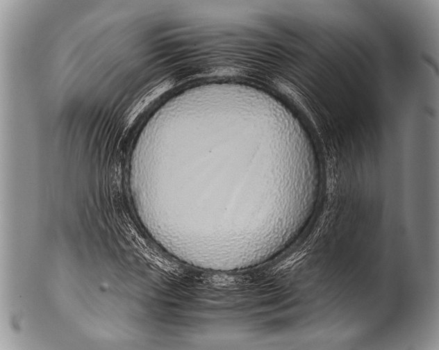 X0000100340827200806261324