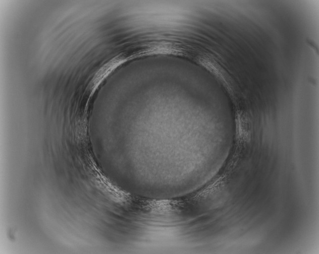 X0000100340828200806261324