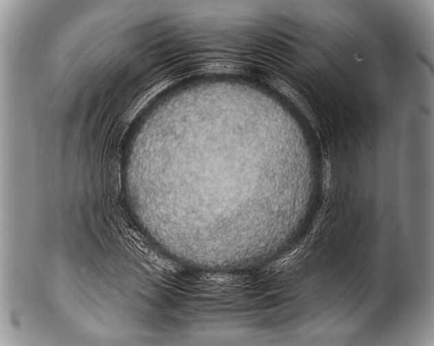 X0000100340829200806261324