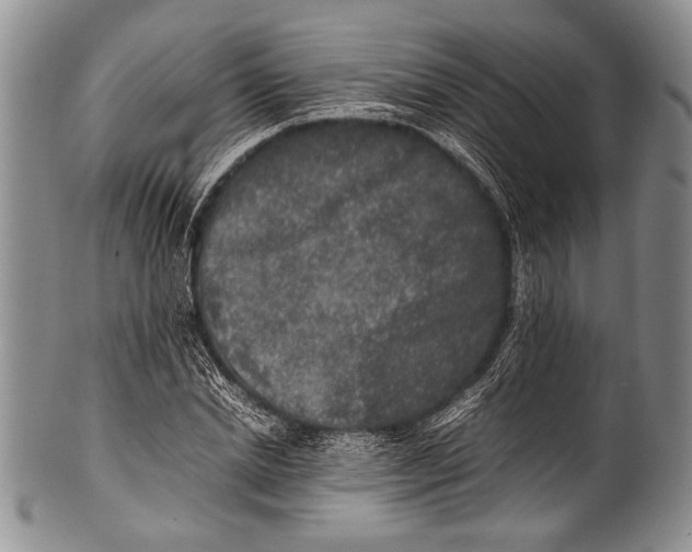 X0000100340830200806261324