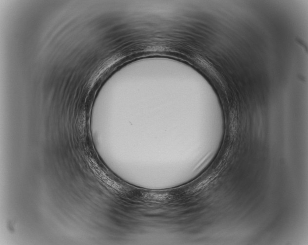 X0000100340831200806261324