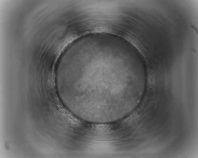 X0000100340832200806261324