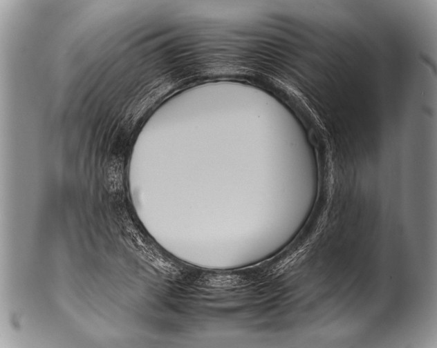 X0000100340833200806261324