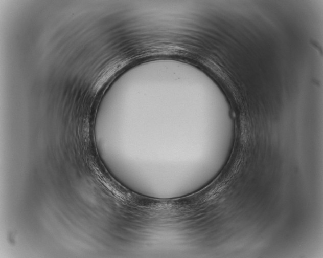 X0000100340834200806261325