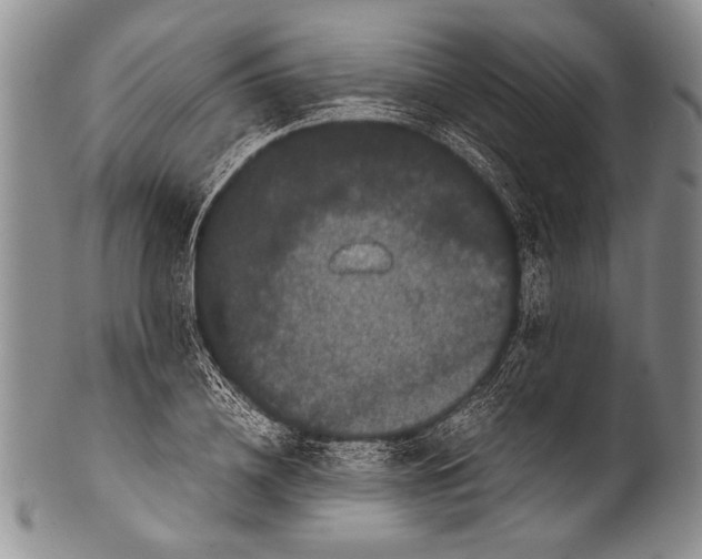 X0000100340836200806261325