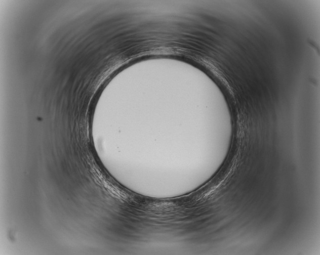 X0000100340837200806261325