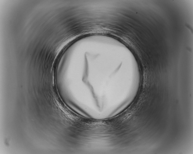 X0000100340838200806261325