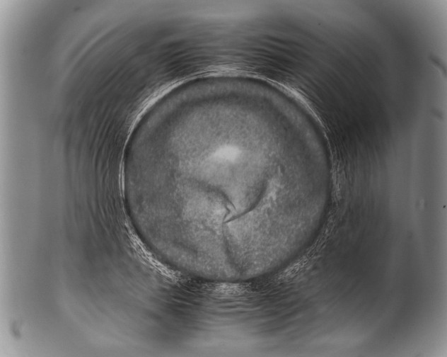 X0000100340839200806261325