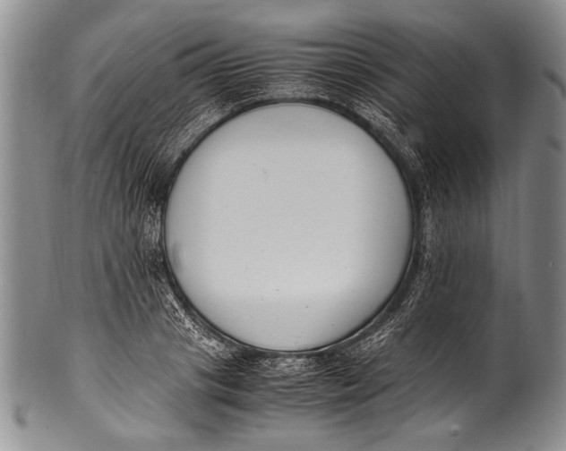 X0000100340841200806261325