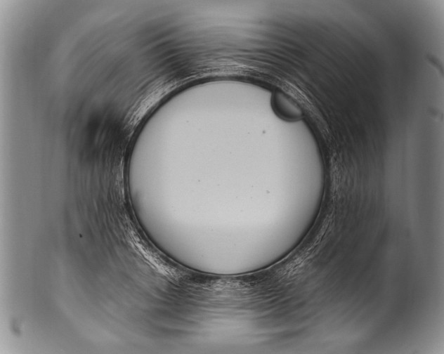 X0000100340842200806261325