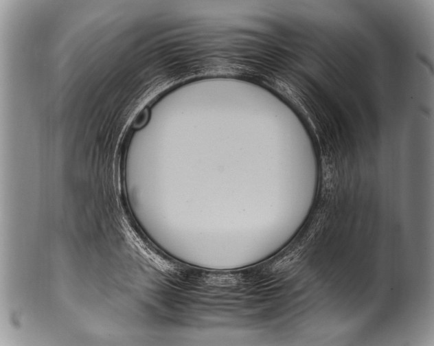 X0000100340843200806261325