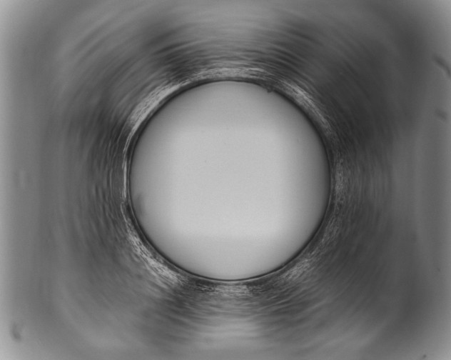 X0000100340844200806261325