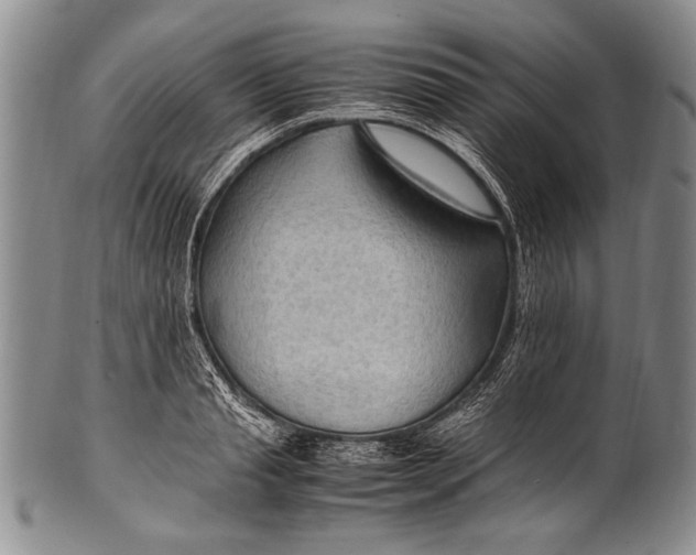 X0000100340845200806261325