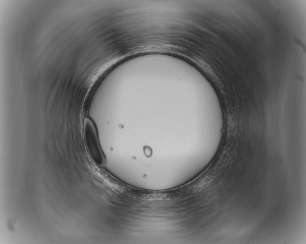 X0000100340846200806261325