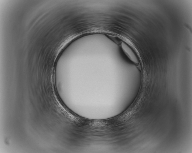 X0000100340847200806261325