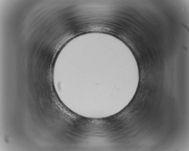 X0000100340848200806261325