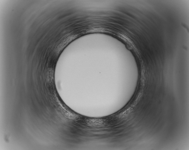 X0000100340849200806261325