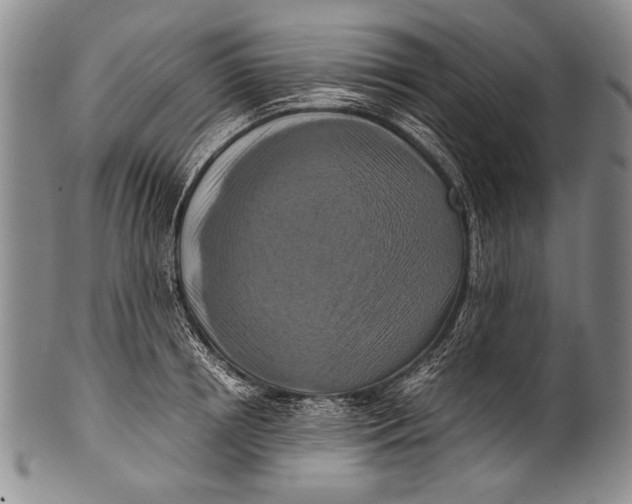 X0000100340850200806261325