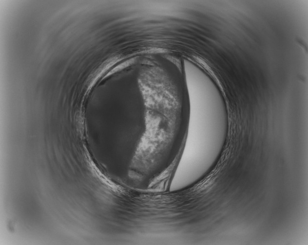 X0000100340851200806261325