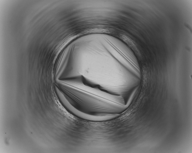 X0000100340852200806261325