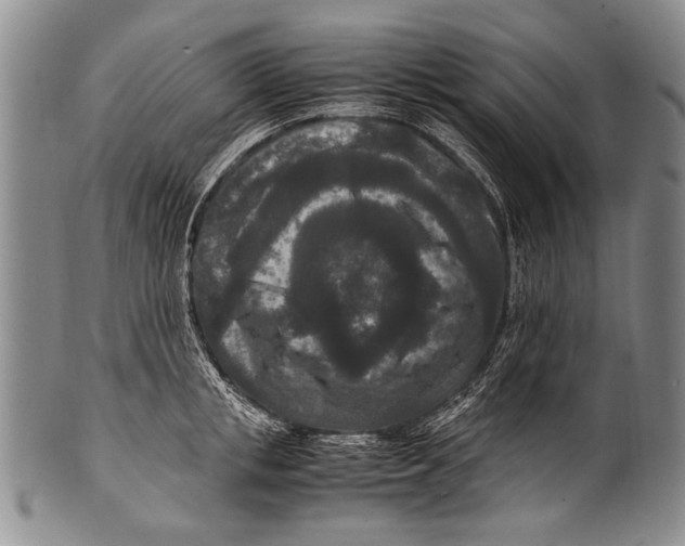 X0000100340853200806261325