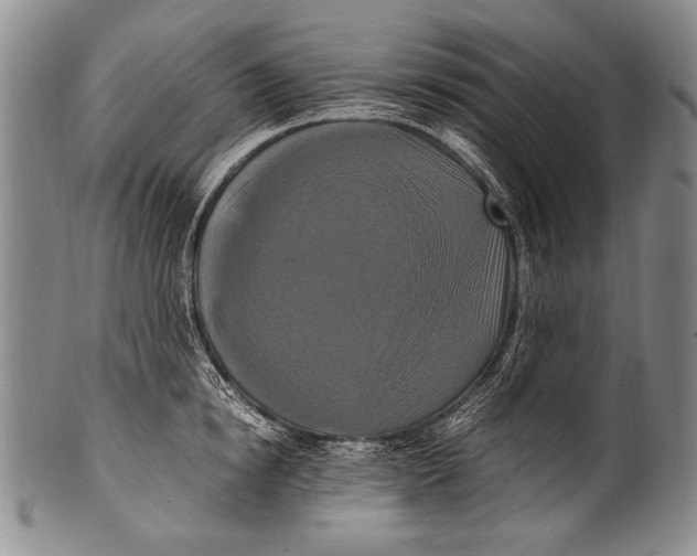 X0000100340854200806261325