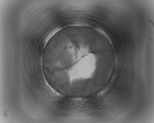 X0000100340855200806261325