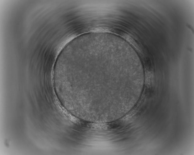 X0000100340856200806261325