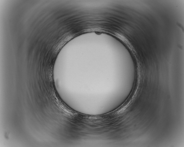 X0000100340857200806261325