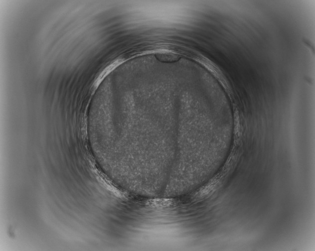 X0000100340858200806261325