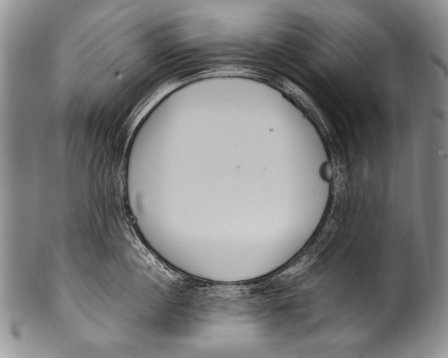 X0000100340860200806261325