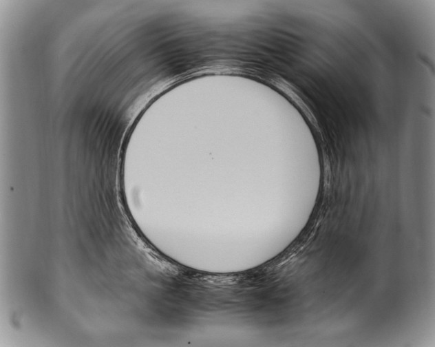 X0000100340861200806261325