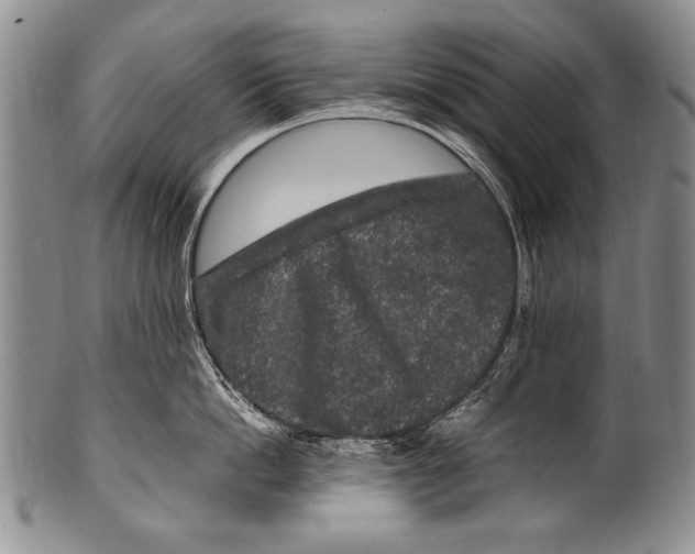 X0000100340862200806261325