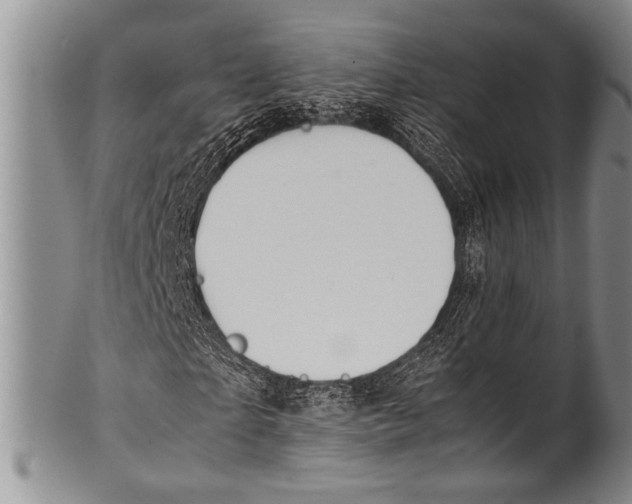 X0000100340865200806261324