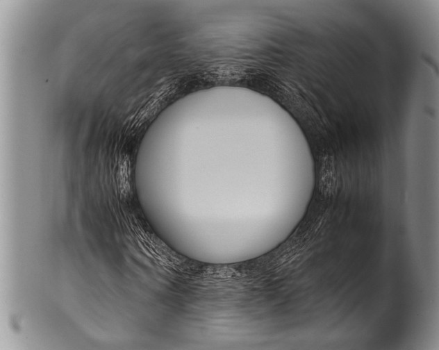 X0000100340866200806261324