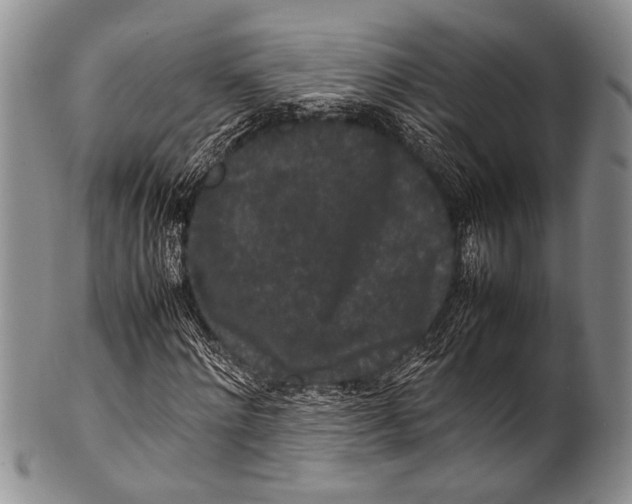 X0000100340868200806261324