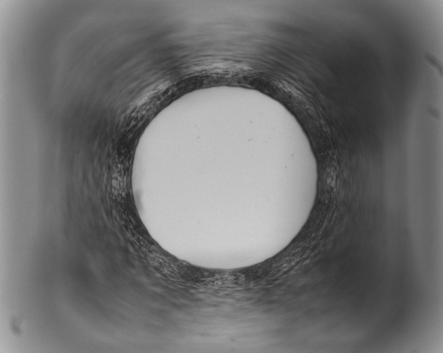 X0000100340869200806261324