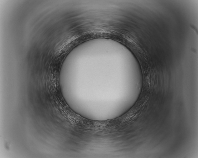 X0000100340870200806261324