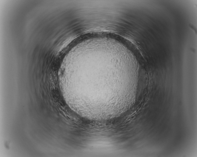 X0000100340871200806261324