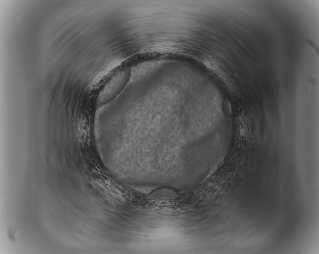 X0000100340872200806261324