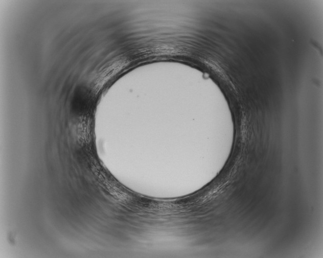 X0000100340873200806261324