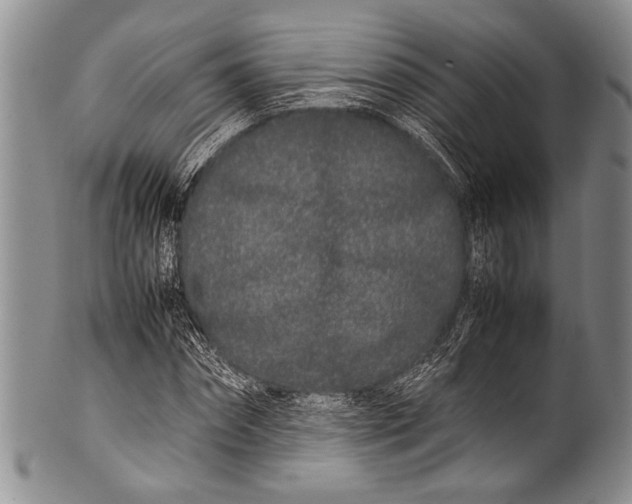 X0000100340874200806261324