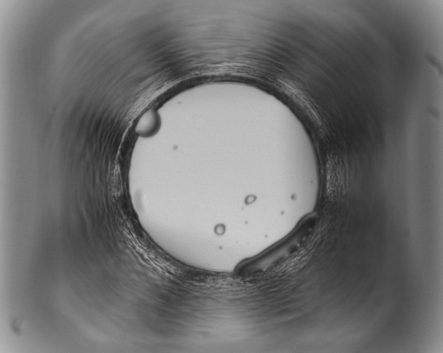 X0000100340876200806261324