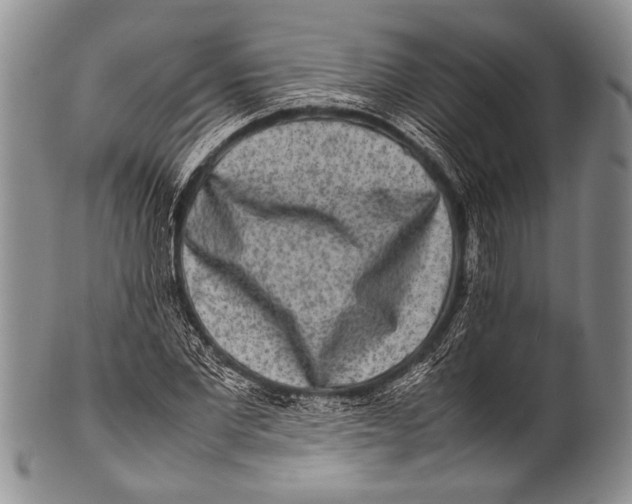 X0000100340877200806261324