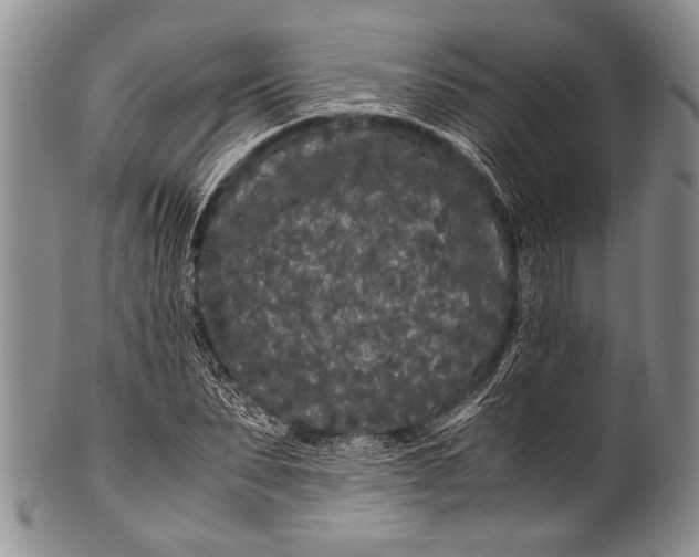 X0000100340879200806261324