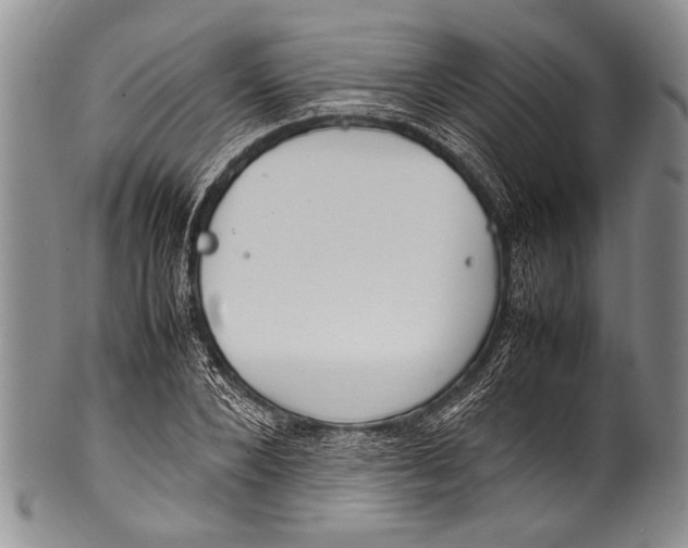 X0000100340880200806261324