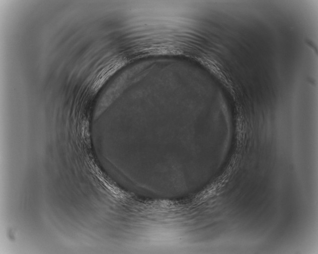 X0000100340881200806261324