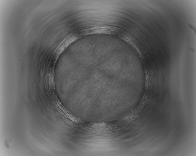 X0000100340882200806261324