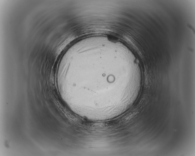 X0000100340883200806261324