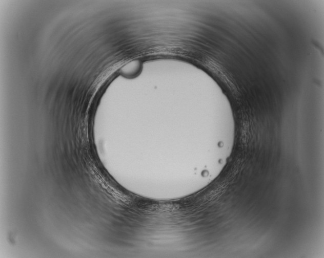 X0000100340884200806261324